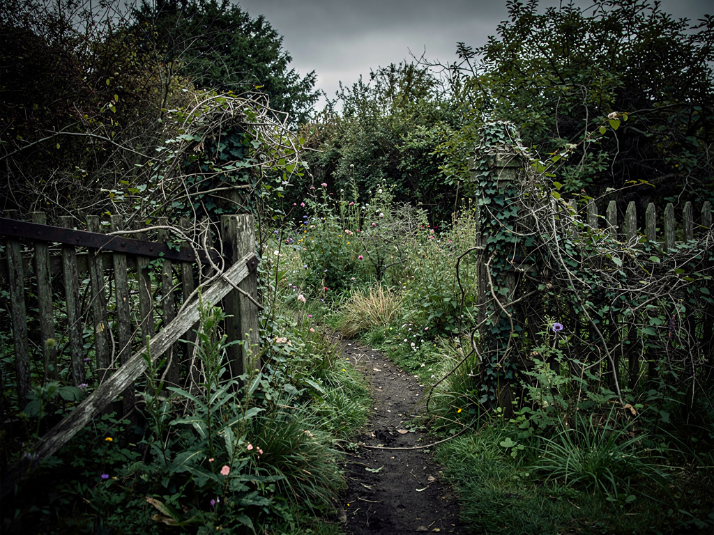 Overgrown wild garden with vines creeping over a broken wooden fence, plants spilling onto a path, weeds tangling with flowers, chaotic uncontrolled growth in every direction, dark moody atmosphere, wide angle